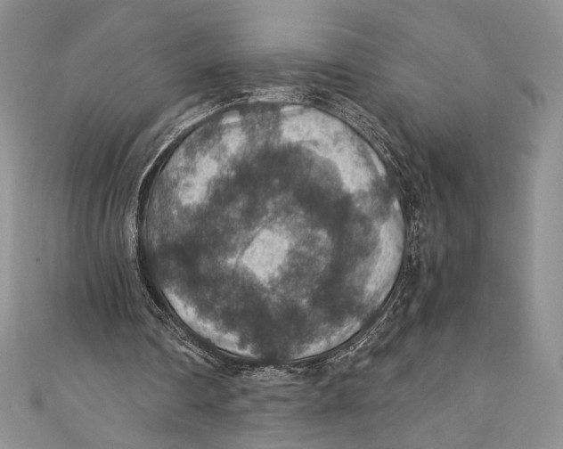 X0000110890290200907091400