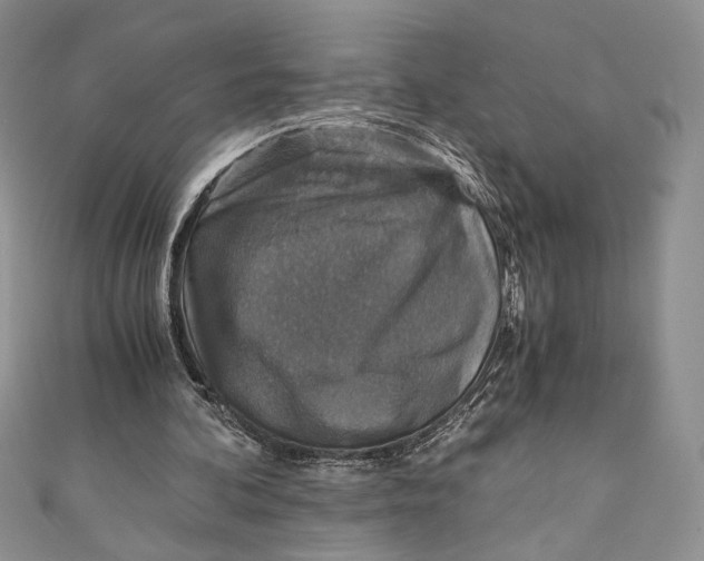 X0000110890292200907091400