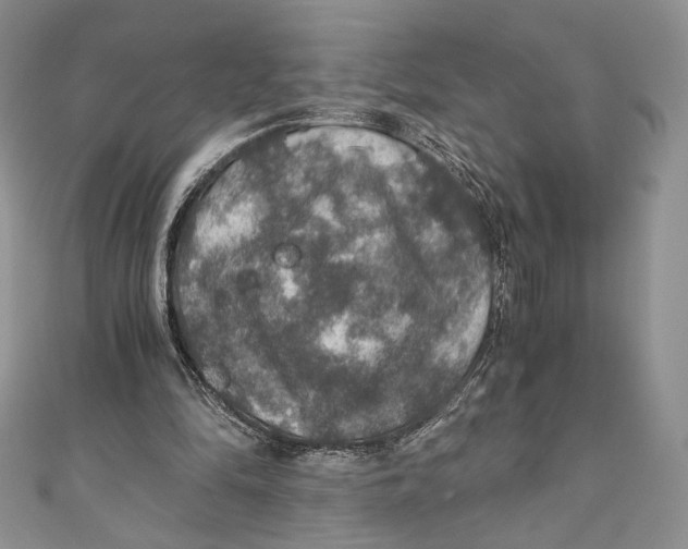 X0000110890294200907091400