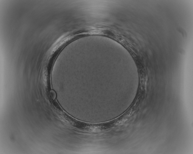 X0000110890295200907091400