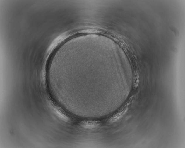 X0000110890296200907091400