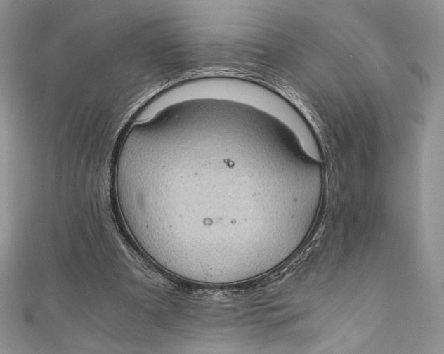 X0000110890297200907091400