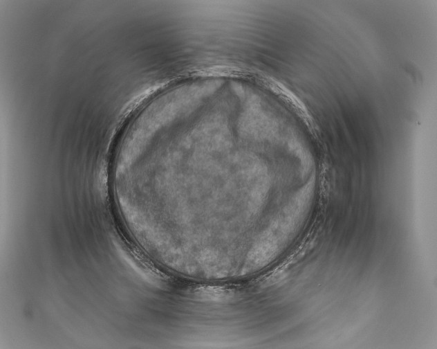 X0000110890298200907091400