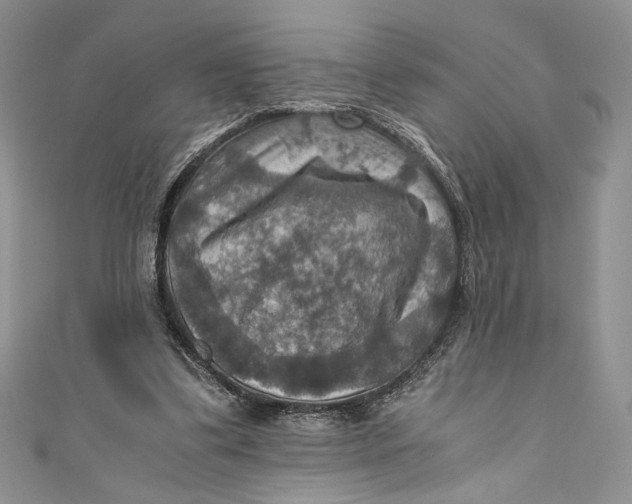 X0000110890299200907091400