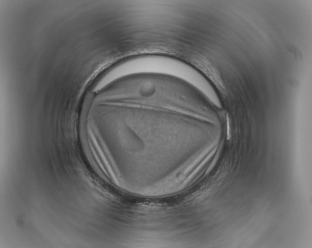 X0000110890300200907091400