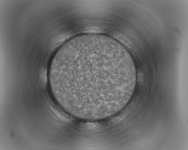 X0000110890302200907091400