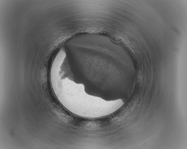 X0000110890303200907091400