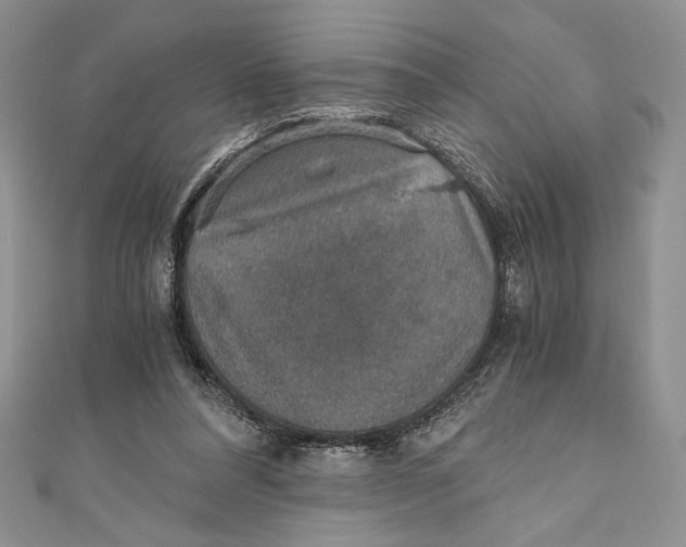 X0000110890304200907091400