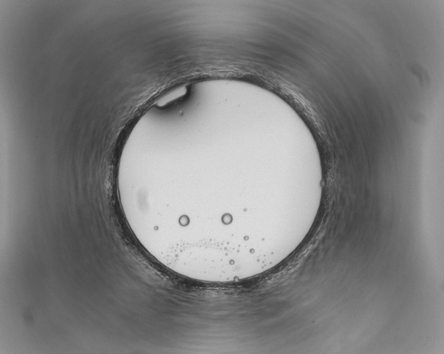 X0000110890305200907091400