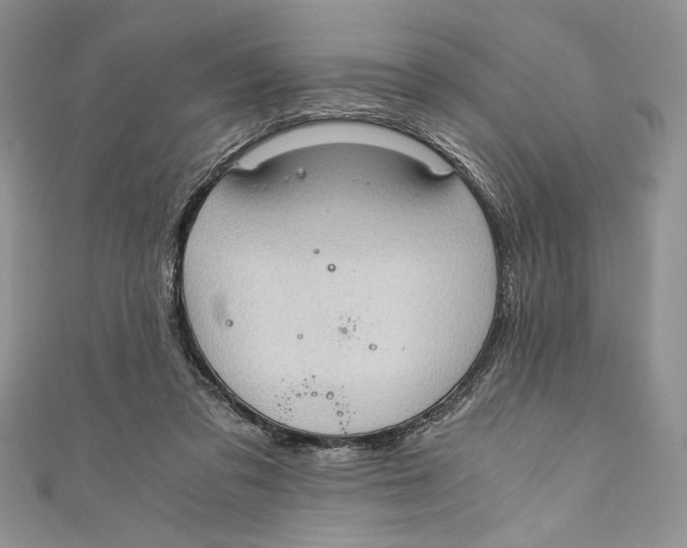 X0000110890309200907091400