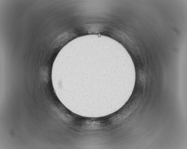 X0000110890311200907091400