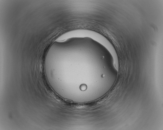 X0000110890313200907091400