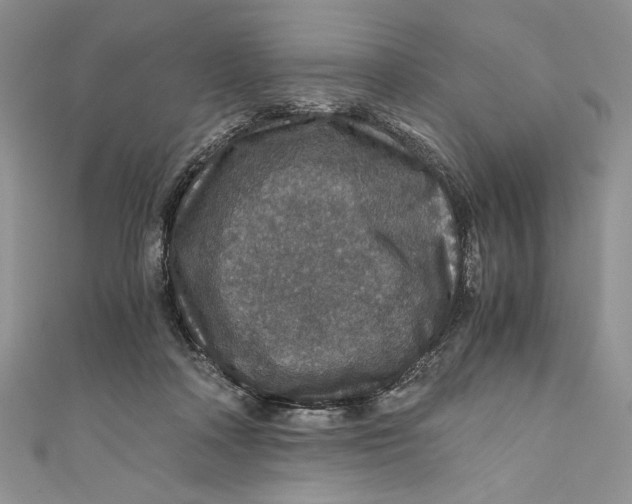 X0000110890314200907091400