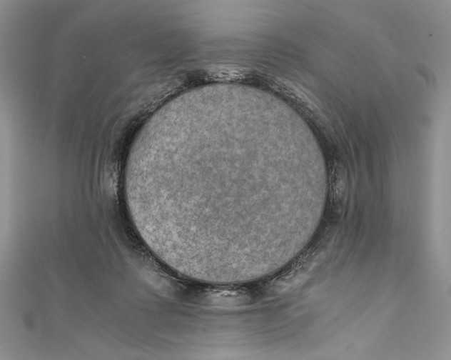 X0000110890315200907091400