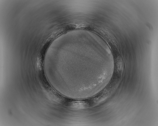 X0000110890316200907091400