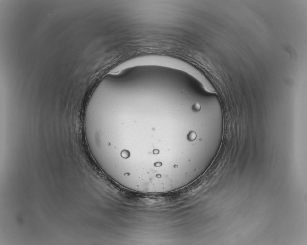 X0000110890317200907091400