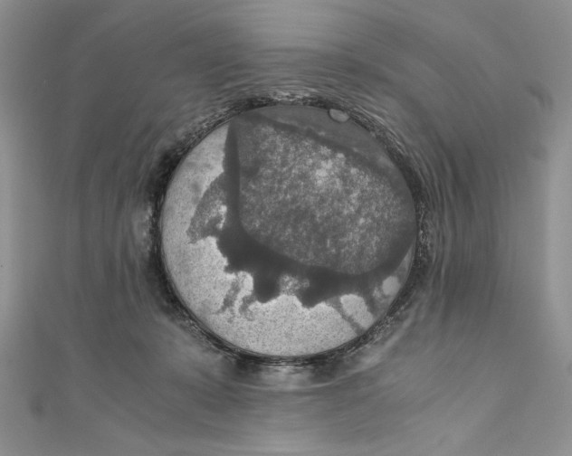 X0000110890319200907091400