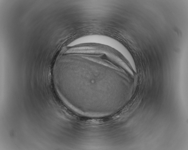 X0000110890320200907091400