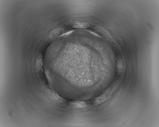 X0000110890322200907091359