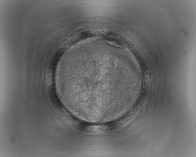 X0000110890323200907091359