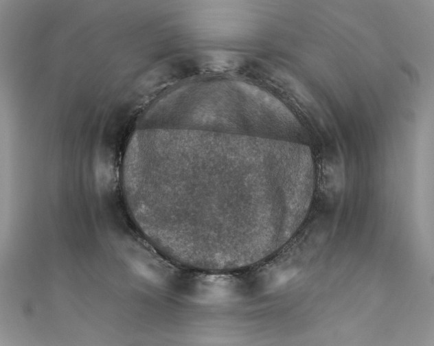 X0000110890324200907091359