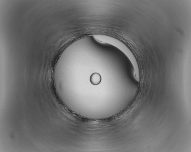 X0000110890325200907091359