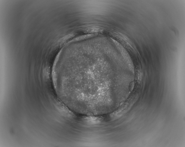 X0000110890326200907091359