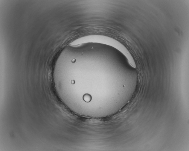 X0000110890327200907091359