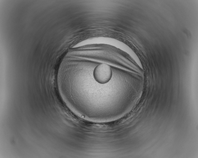 X0000110890328200907091359