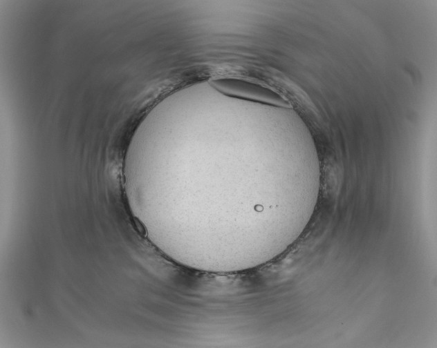 X0000110890329200907091359