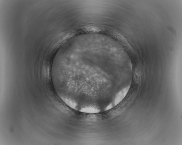 X0000110890330200907091359