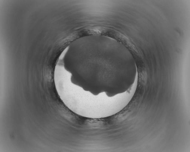 X0000110890331200907091359