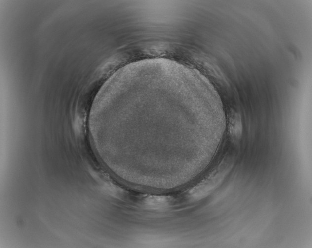 X0000110890332200907091359