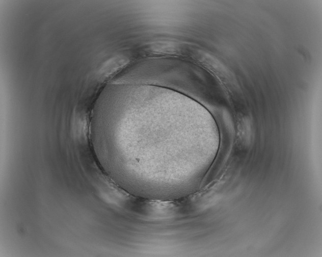 X0000110890333200907091359