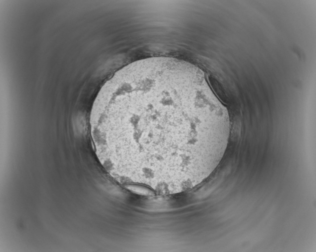 X0000110890335200907091359