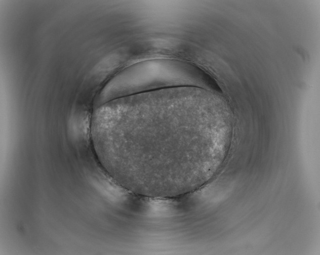 X0000110890336200907091359