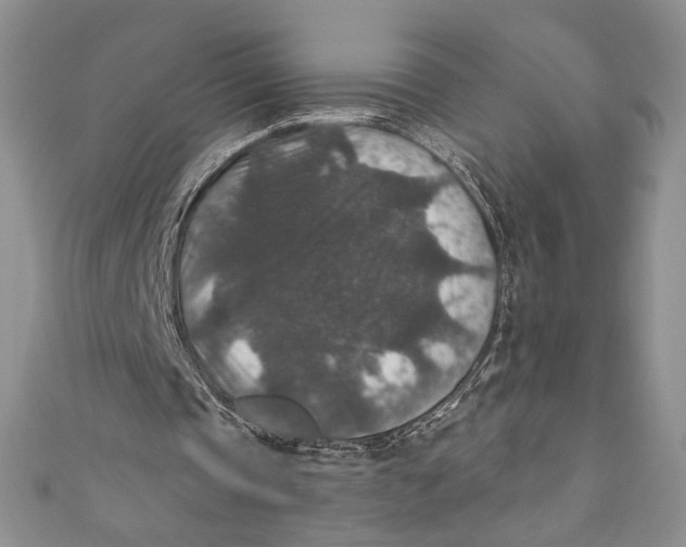 X0000110890337200907091359