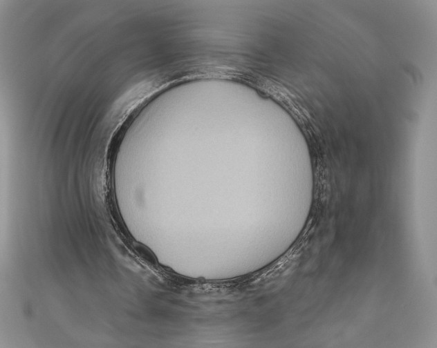 X0000110890338200907091359