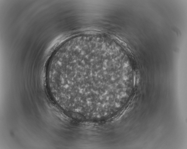 X0000110890339200907091359