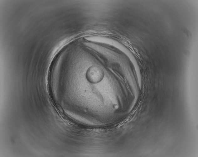 X0000110890340200907091359