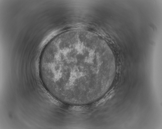 X0000110890341200907091359