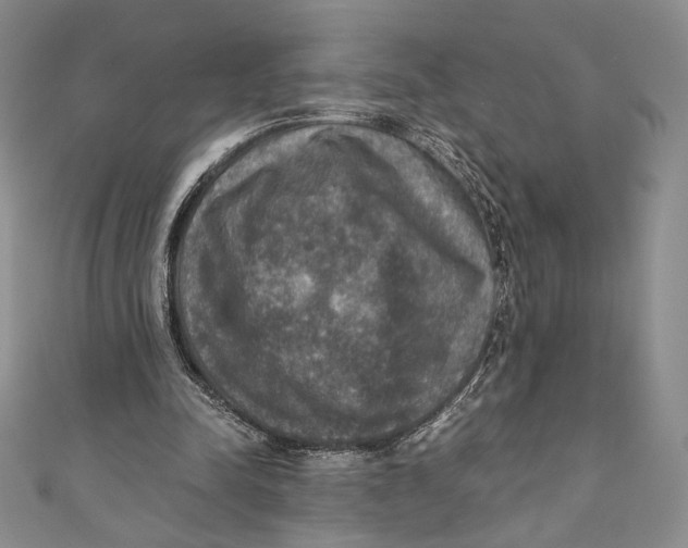 X0000110890342200907091359