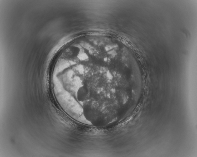 X0000110890343200907091359