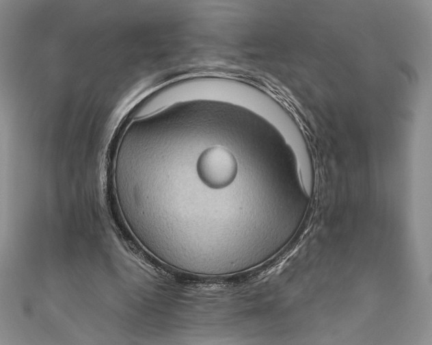 X0000110890344200907091359