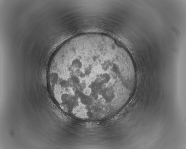 X0000110890345200907091359