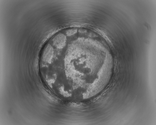 X0000110890346200907091359