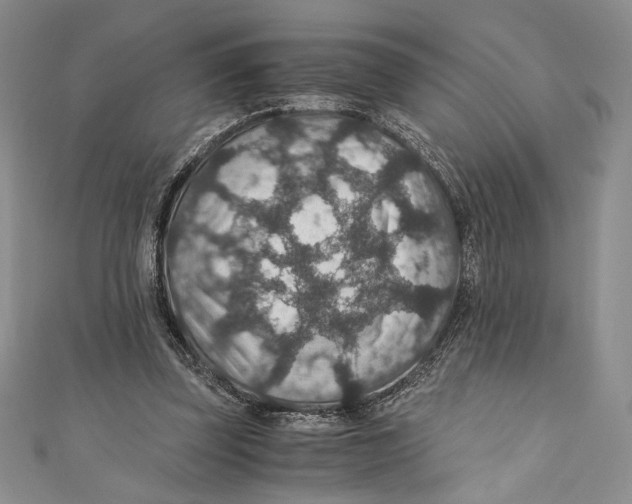 X0000110890347200907091359