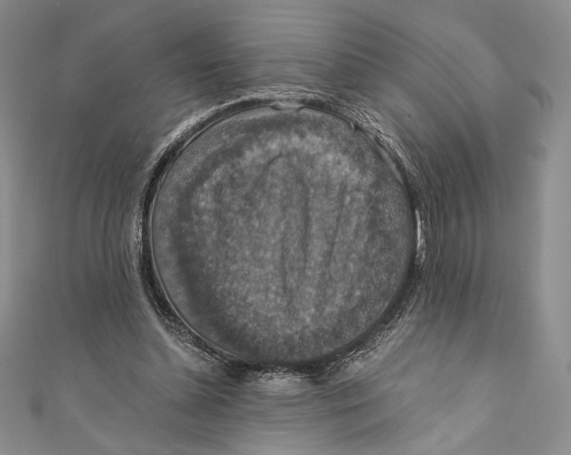 X0000110890348200907091359