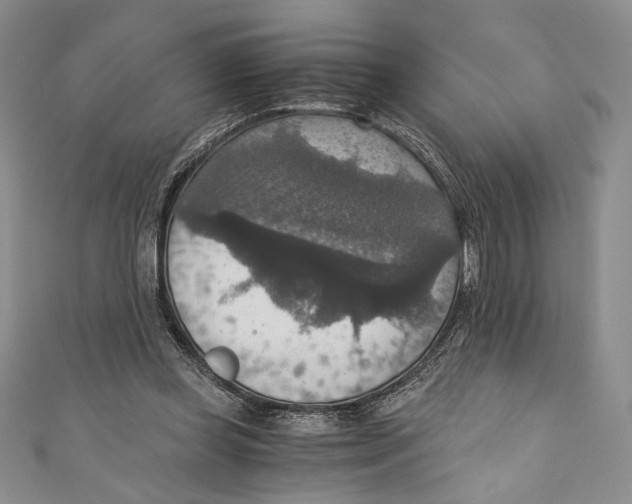 X0000110890349200907091359