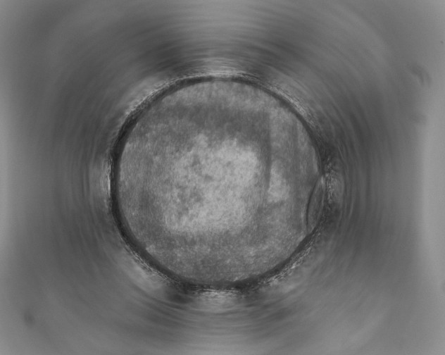 X0000110890350200907091359